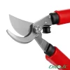 شاخه-زن-رونیکس-3120--5