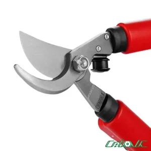 شاخه-زن-رونیکس-3120--5